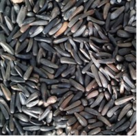 buyers of animal cattle feed animal cattle feed buyers buyers of animal cattle feed animal cattle feed buyers